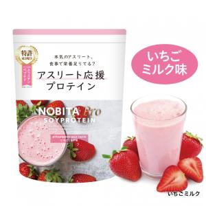 ノビタ NOBITA PRO ノビタ プロ ソ...の詳細画像2