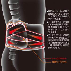バンテリン 腰用サポーター : ブラック (2...の詳細画像2