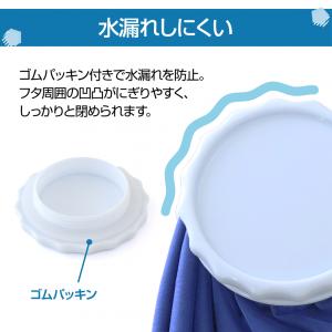 ティゴラ 氷嚢 氷のう アイスバッグ 大口径6...の詳細画像4