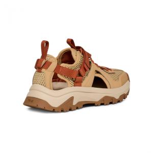 テバ HURRICANE XLT3 CT ハリ...の詳細画像4