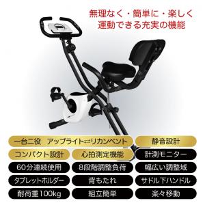 ティゴラ 一台二役 アップライト リカンベント...の詳細画像2