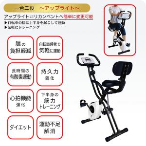 ティゴラ 一台二役 アップライト リカンベント...の詳細画像3