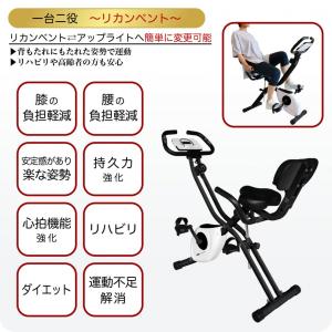 ティゴラ 一台二役 アップライト リカンベント...の詳細画像4