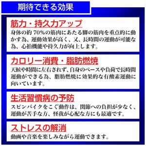 ティゴラ TIGORA ティゴラ TR SB0...の詳細画像5