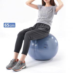 ティゴラ ノンバーストタイプバランスボール 65cm ブルー 65BL バランストレーニング TIGORA｜アルペングループヤフー店