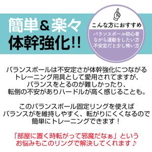 ティゴラ バランスボールをささえるわ バランス...の詳細画像4