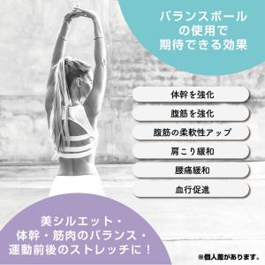 ティゴラ バランスボールをささえるわ バランス...の詳細画像5