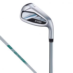 BRIDGESTONE GOLF ブリヂストン BSG 233HF ゴルフ アイアンセット N.S.