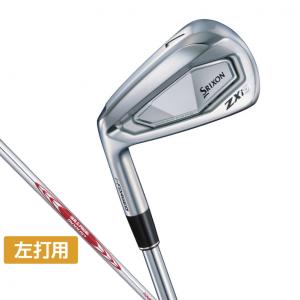 BRIDGESTONE GOLF ブリヂストン 258CBP ゴルフ アイアンセット N.S.PRO