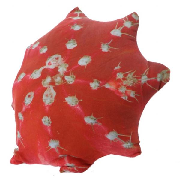 キーストーン デザートプラントクッション E DEPLCUE キャンプ インテリア雑貨 KEY ST...