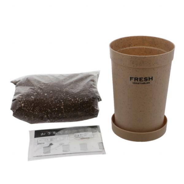 聖新陶芸 おうちで根菜栽培セット にんじん GD-89102 キャンプ 栽培キット SEISHIN