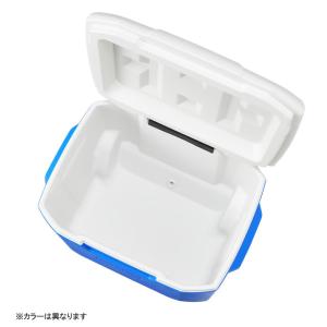【アルペン限定】 コールマン COOLER 6...の詳細画像4