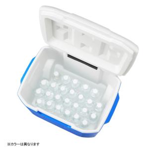 【アルペン限定】 コールマン COOLER 6...の詳細画像5