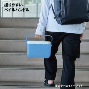 コールマン テイク6 デイドリーム 22201...の詳細画像1