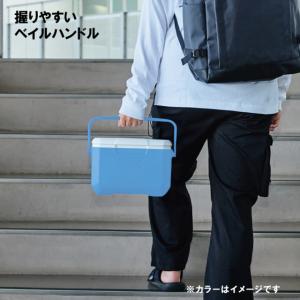 コールマン テイク6 デイドリーム 22201...の詳細画像1