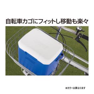 2026年 新商品 【アルペン限定】 コールマ...の詳細画像2