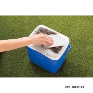 2026年 新商品 【アルペン限定】 コールマ...の詳細画像4