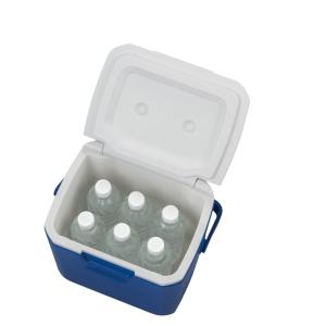 2026年 新商品 【アルペン限定】 コールマ...の詳細画像5