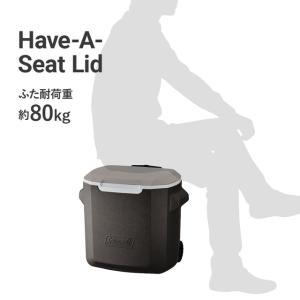 【アルペン限定】 ホイールクーラー/28QT ...の詳細画像5