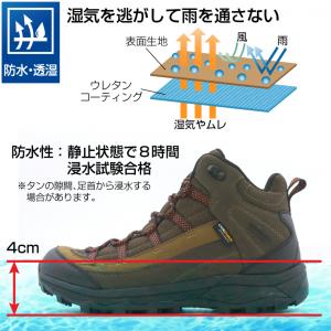 ティゴラ 新ハイキングMD M TR 7F-1...の詳細画像5