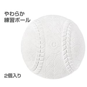 YONEX（ヨネックス） NP エヌピー 30個入りバッグ TB-NP30 硬式テニス