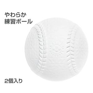 ティゴラ 素手でもキャッチできるレジャーボール TR-スデデレジャ-B 野球 トレーニングボール TIGORA