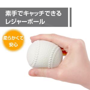 ティゴラ 素手でもキャッチできるレジャーボール...の詳細画像1