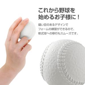 ティゴラ 素手でもキャッチできるレジャーボール...の詳細画像2