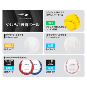 ティゴラ 素手でもキャッチできるレジャーボール...の詳細画像4