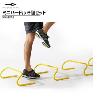 ティゴラ ハードル トレーニング TR-8FE0248 TIGORA