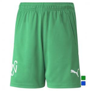 プーマ ジュニア キッズ 子供 サッカー/フットサル ゲームパンツ ハーフパンツ プラクティスパンツ NEYMAR JR COPA グラフィック ショーツ JR 605571 PUMA
