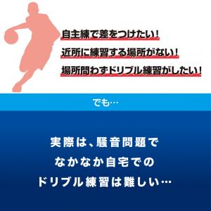ティゴラ ドリブルネット バスケットボール 練...の詳細画像2