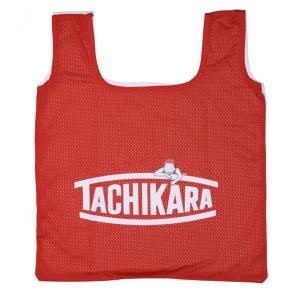 タチカラ PICK UP PLAYGROUND × TACHIKARA BALL SAC BS-039 バスケットボール バッグ TACHIKARA