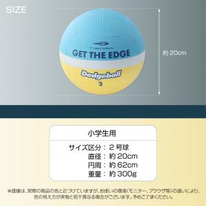 ティゴラ ドッジボール 2号球 ジュニア 小学...の詳細画像2