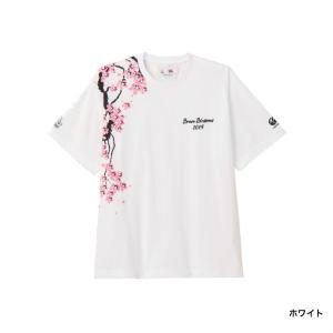 カンタベリー メンズ ラグビー 半袖シャツ J...の詳細画像1