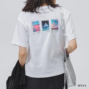 アディダス レディース 半袖 Tシャツ フォト...の詳細画像3