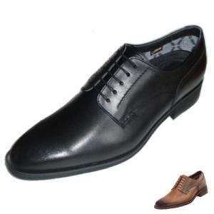 REGAL（リーガル） ビジネスシューズ GORE-TEXゴアテックス 34HRBB