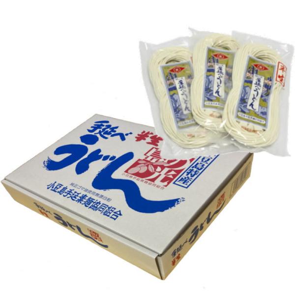 島の光手延べ半生うどん　１０袋入りダンボール箱