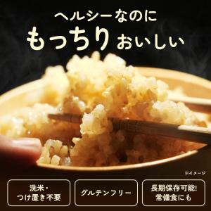ぷちっともち玄米 900g もち玄米 玄米 も...の詳細画像2