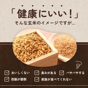 ぷちっともち玄米 900g もち玄米 玄米 も...の詳細画像3