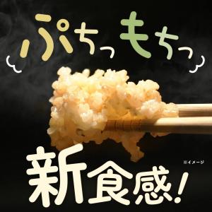 ぷちっともち玄米 900g もち玄米 玄米 も...の詳細画像5