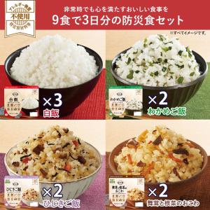 防災食セット マモル 9食 1人 3日分 5年...の詳細画像3