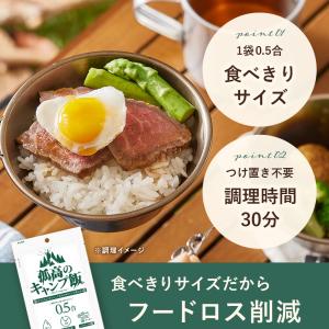 孤高のキャンプ飯 0.5合×8袋 無洗米 ごは...の詳細画像4