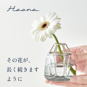 AUX ハーナ 花瓶 一輪挿し 抗菌 銀 日本製 フラワーベース コンパクト 卓上 花器 おしゃれ 北欧 透明 安定 倒れにくい 切花 延命 インテリア ギフト オークス