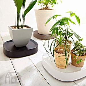 tidy プランタブル 植木鉢トレー plantable  バルコニー/ガーデニング/玄関/庭/ガー...