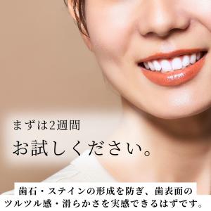 ホワイトニング 歯磨き粉 フッ素 合成着色料 ...の詳細画像2