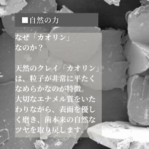 ホワイトニング 歯磨き粉 フッ素 合成着色料 ...の詳細画像5