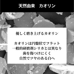 ホワイトニング 歯磨き粉 フッ素 合成着色料 ...の詳細画像2
