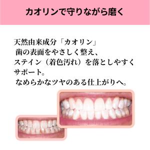 ホワイトニング 歯磨き粉 フッ素 合成着色料 ...の詳細画像3