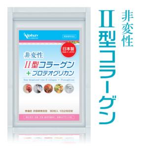 プロテオグリカン 30日分 日本製 無添加  ２型コラーゲン サプリ サプリメント グルコサミン コンドロイチン 送料無料